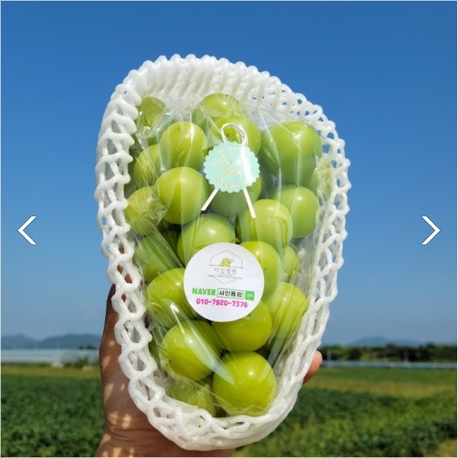 샤인뜰팜 대표이미지